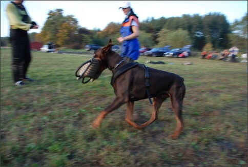 Training in Estonia 9/2007